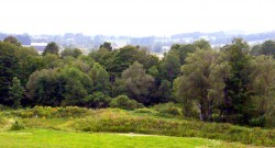 CortlandWods001