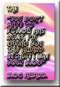the-no-rules-blog-award