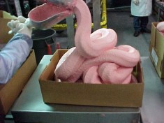 mcnugget paste